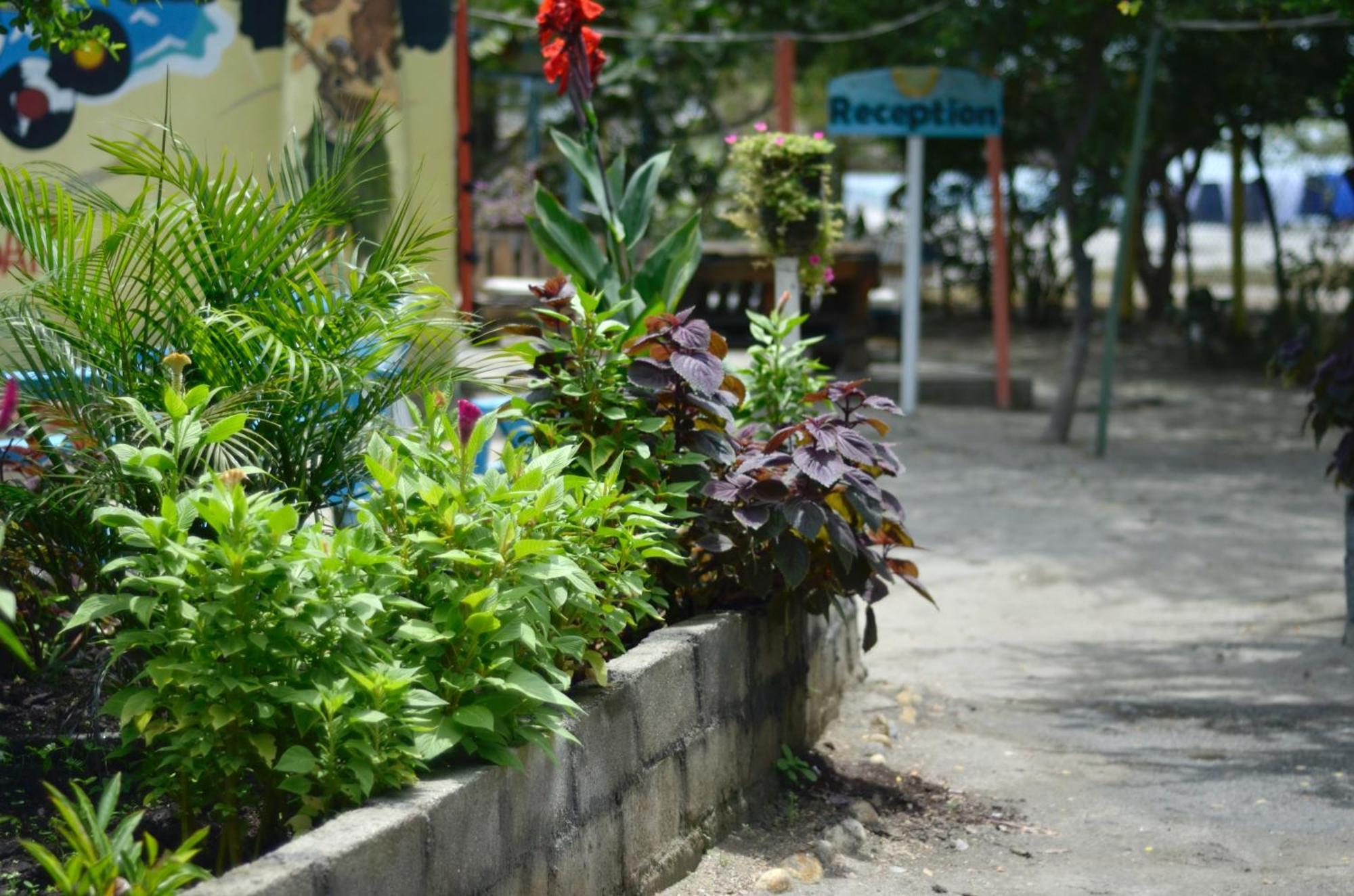 Playa Del Ritmo Beach Hostel & Bar - Adults Only Santa Marta  Exterior foto